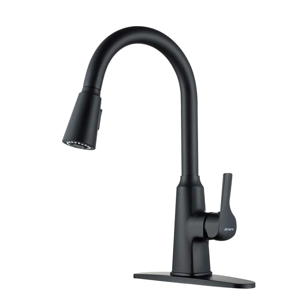 Matte Black SUS304 Stainless Steel Kitchen Faucet with Pull Down Sprayer