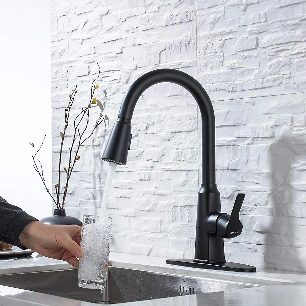 Matte Black SUS304 Stainless Steel Kitchen Faucet with Pull Down Sprayer